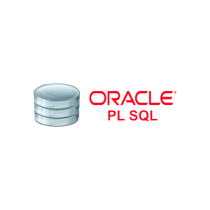 Oracle PL SQL Logo 1